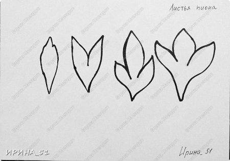 Чашелистик и листья пиона из фоамирана