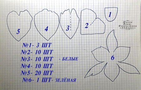 Выкройка лепестков пиона