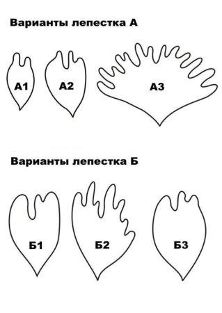 Лепесток пиона трафарет