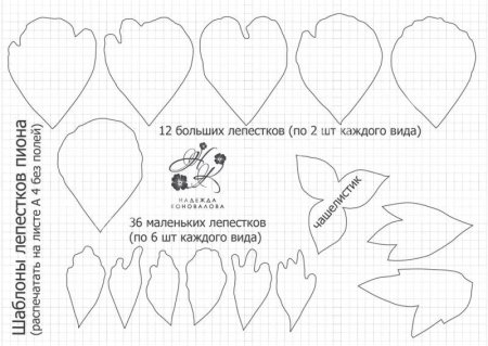 Стилизованные листья пиона