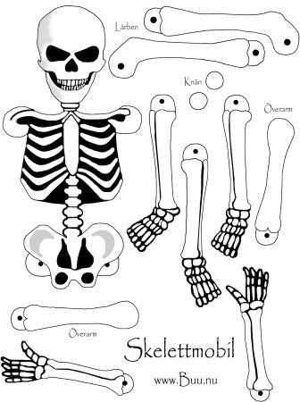 Шаблон скелет (47 фото)