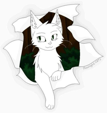 Коты Воители лайны