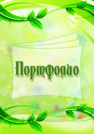 Портфолио учителя начальных классов