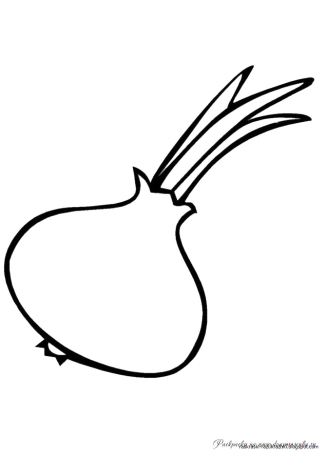 Лук раскраска для детей