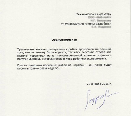 Как писать объяснительную записку в колледж образец
