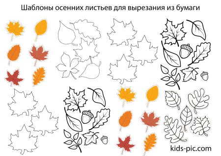 Шаблоны осенних листьев