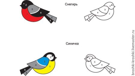 Раскраска Снегирь и синица для детей