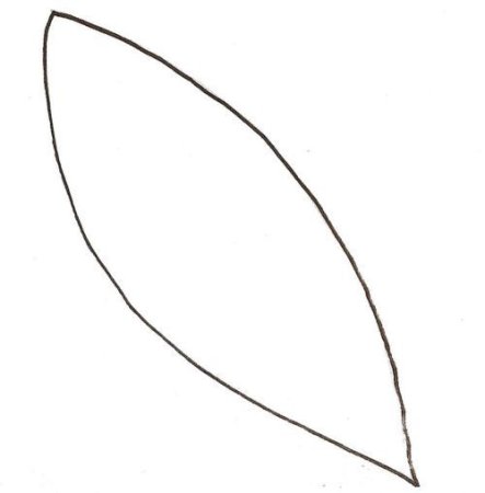 Шаблон лист ромашки (50 фото)