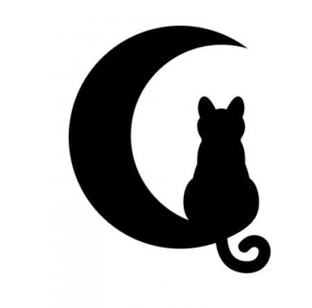 Силуэт кошки на Луне