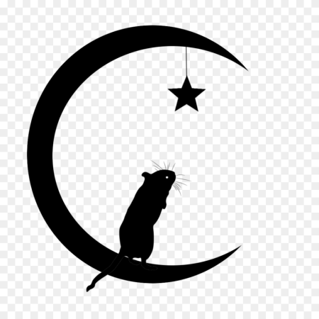 Кошка на полумесяце