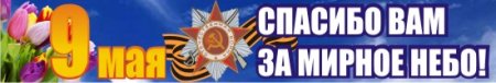 Спасибо вам за мирное небо над головой