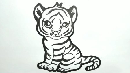Тигр. Раскраска