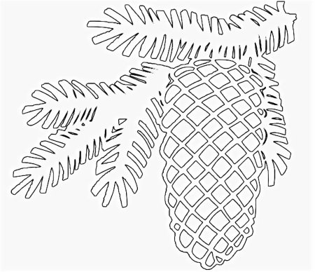 Новогодние веточки трафареты на окна