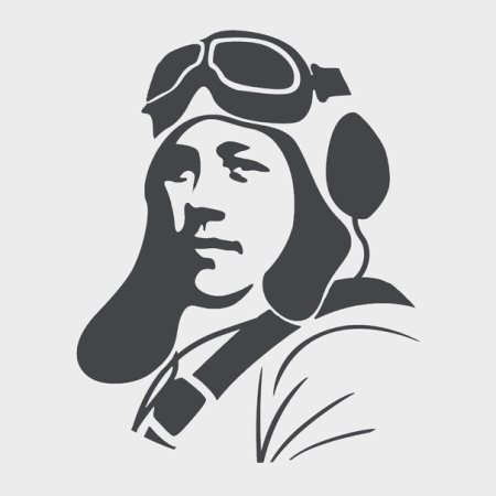 Силуэт летчика