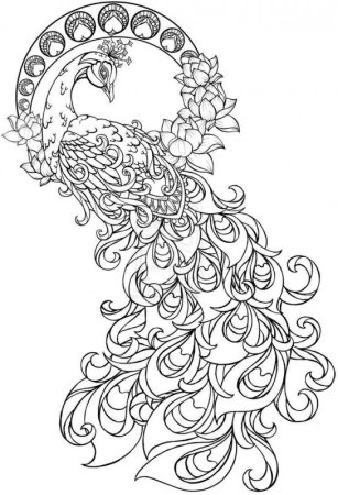 Жар птица DXF