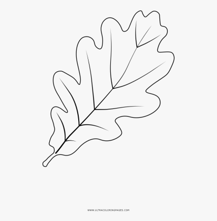 Вытынанка лист дуба (48 фото)
