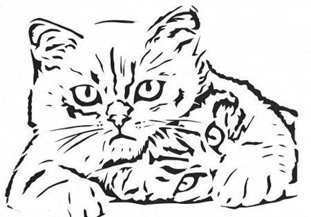 Вытынанки на окна котики