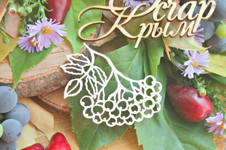 Веточка рябины