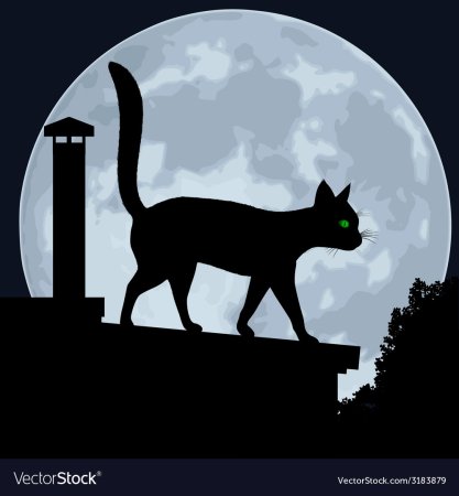 Кот на крыше силуэт