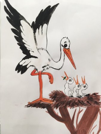 Аист раскраска