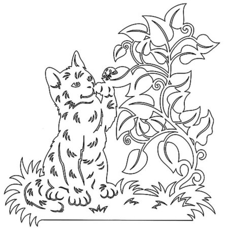 Кот в сапогах Шрек раскраска