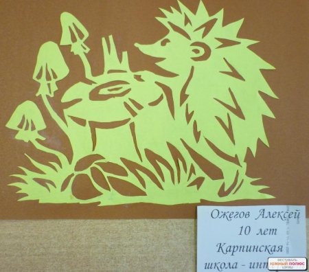 Вытанки грибы