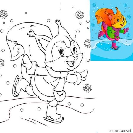 Новогодняя раскраска (белка)