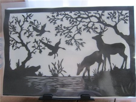 Вытынанки природа