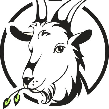 Снежная Королева олень вытынанка