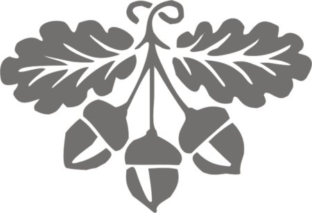 Рябина раскраска