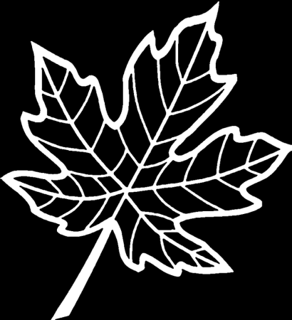 Вытынанки листья