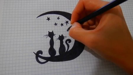 Рисунки ручкой легкие и красивые
