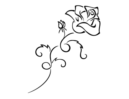 Черно-белый цветок