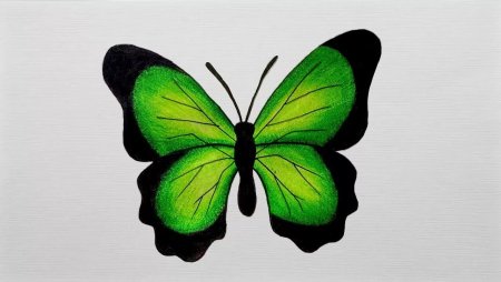 Трафарет бабочки для вышивки