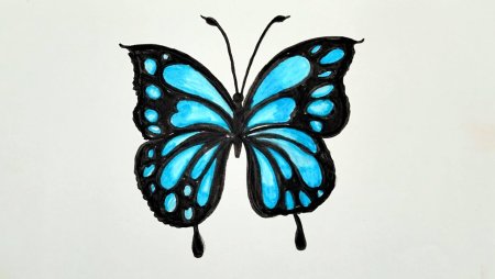 Рисунки бабочек для срисовки