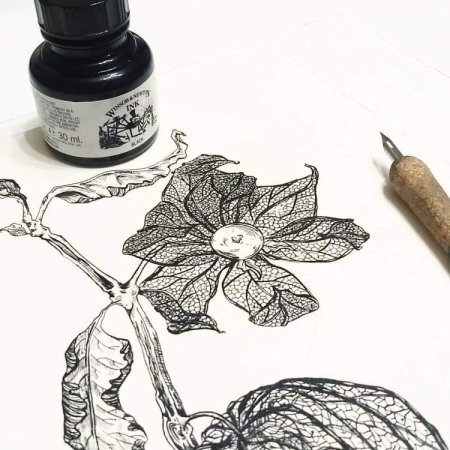 Перо для рисования чернилами