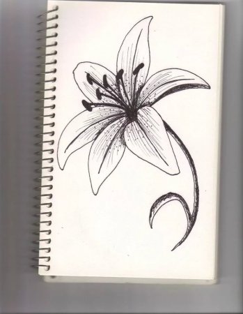 Рисунки для скетчбука лёгкие