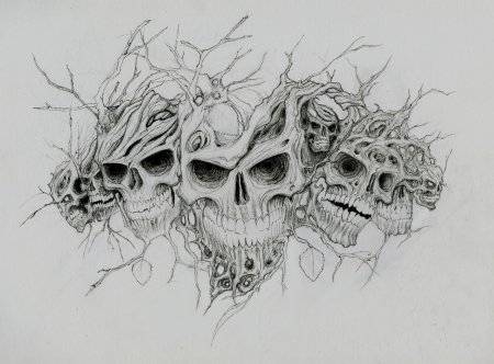 Череп рисунок карандашом
