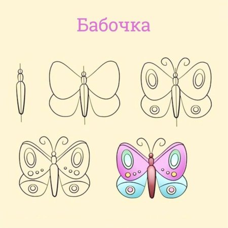 Раскраска "бабочки"