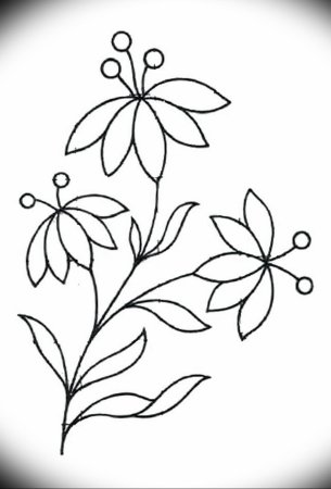 Зарисовки мелких растений