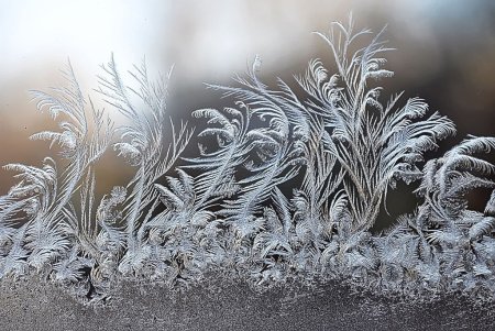 Дендриты иней