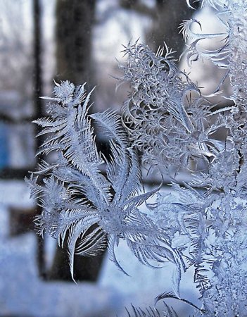 Морозные узоры на стекле