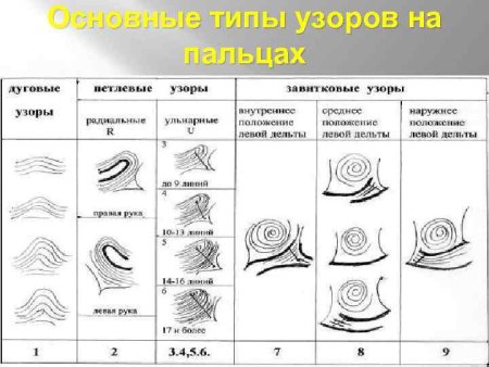 Петлевой завитковый дуговой