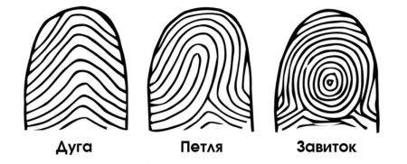 Тип папиллярного узора отпечатка пальца