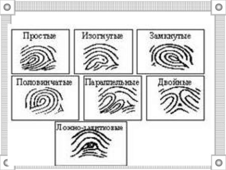 Петлевой Тип папиллярных узоров