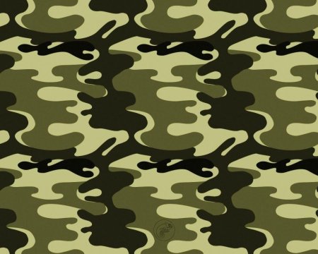 Цвет хаки цвет хаки камуфлированные