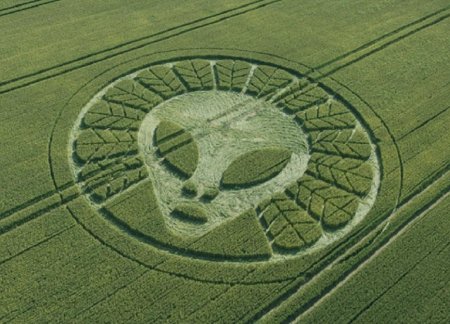 Круги на полях 2020 коронавирус