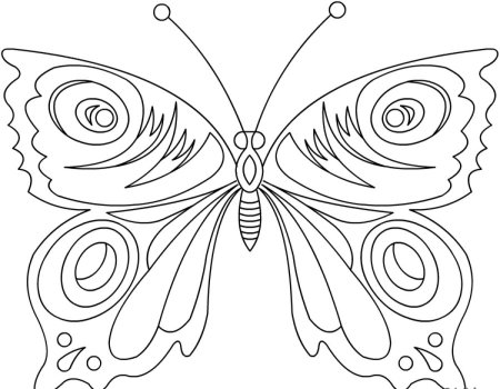 Раскраска "бабочки"