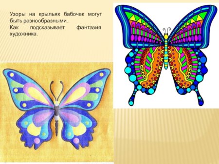 Крылья бабочки