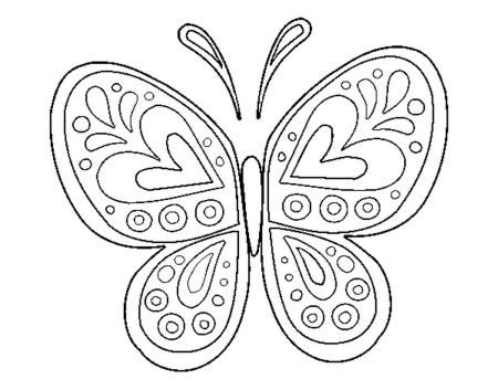Узоры на крыльях бабочки (50 фото)